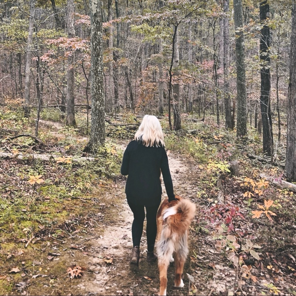 Meet your Posher, Shelby